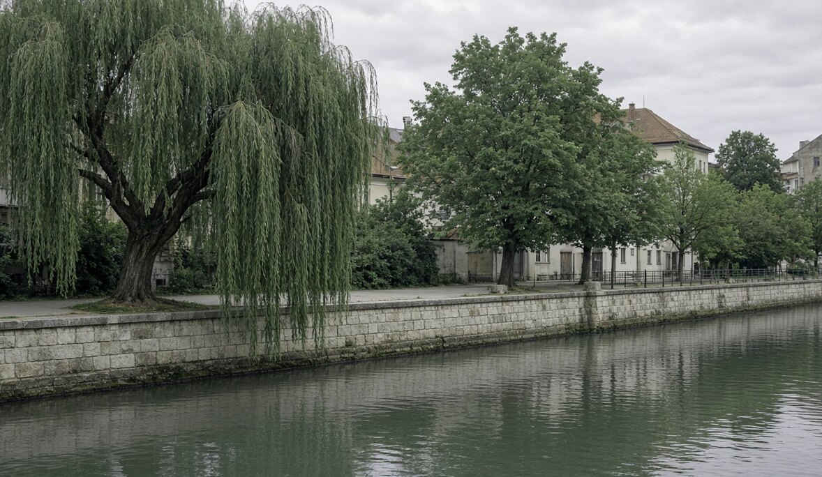 Square, grey